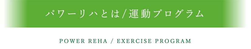 パワーリハとは/運動プログラム