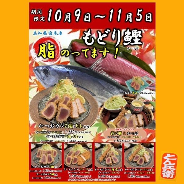 ◎もどり鰹