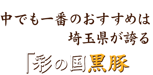 中でも一番のおすすめは