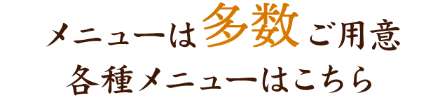 メニューは多数ご用意